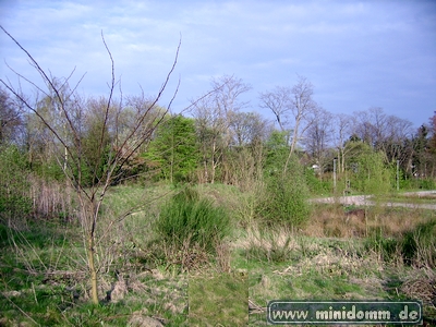 minidomm 2008