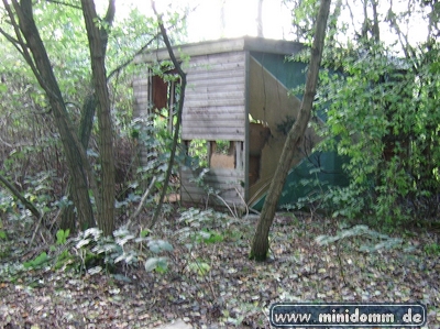 minidomm 2008