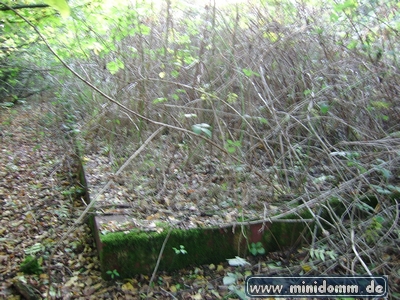 minidomm 2008