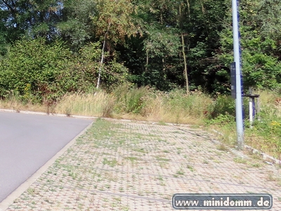 minidomm 2026